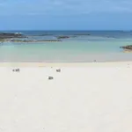 Nire Lula En La Misma Playa