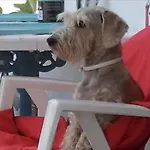 דירה Nire Lula En La Misma Playa Cotillo